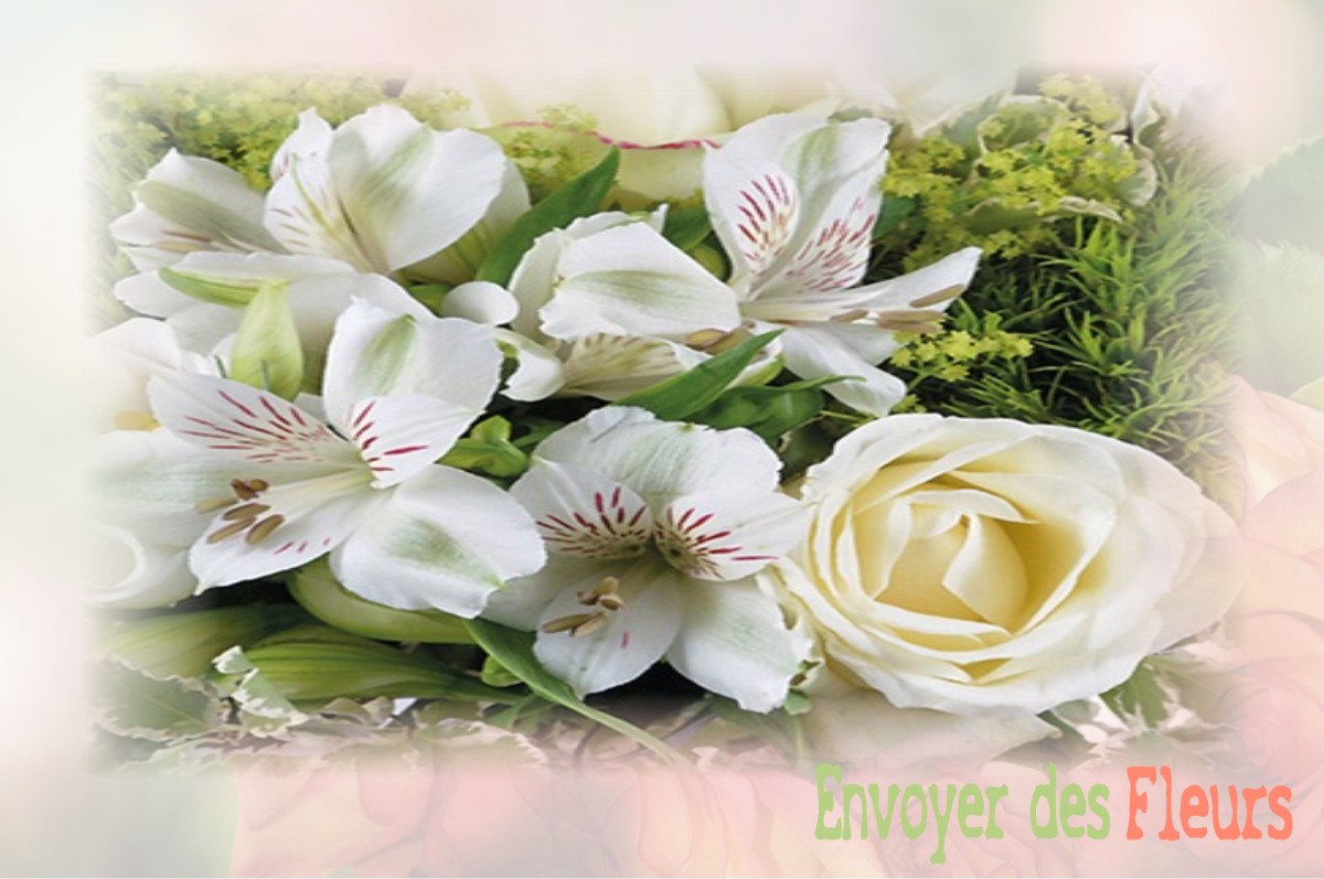 envoyer des fleurs à à VILLE-SUR-LUMES